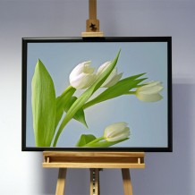 3D-Bild: Tulpen | Blume, Zuhause, Tischdekoration, Garten 3D-Bild: Tulpen | Blume, Zuhause, Tischdekoration, Garten