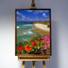 3D-Bild: Wipeout Beach San Diego | Landschaft, Meer, See, Strand, Pflanzen, Amerika 3D-Bild: Wipeout Beach San Diego | Landschaft, Meer, See, Strand, Pflanzen, Amerika