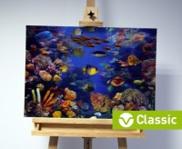 3D-Bild: Korallenriff (Classic) | Fische, Wasser, Meer, Wasserpflanzen, Tauchen